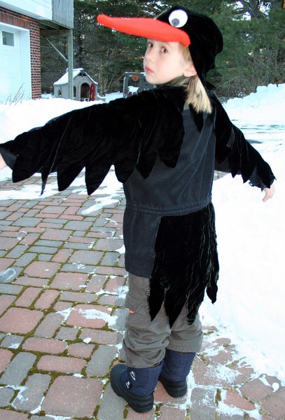 [407px-Raven-back[2].jpg]