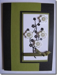 IMG_1442 IMG_1442