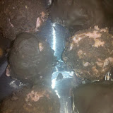 Strawberry Truffles