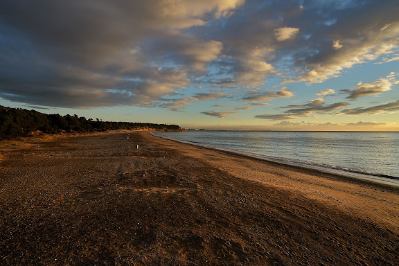 Platja del Torn (platja nudista).Espai d'Interés Natural la Rojala platja del Torn.Hospitalet de l'Infant i Vandellòs, Baix Camp, Tarragona