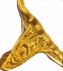 [gold_thong[4].jpg]
