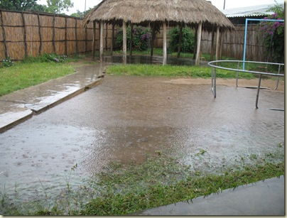 March 2010 003