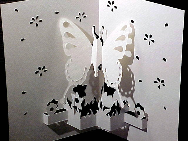 [butterfly-white[3].jpg]