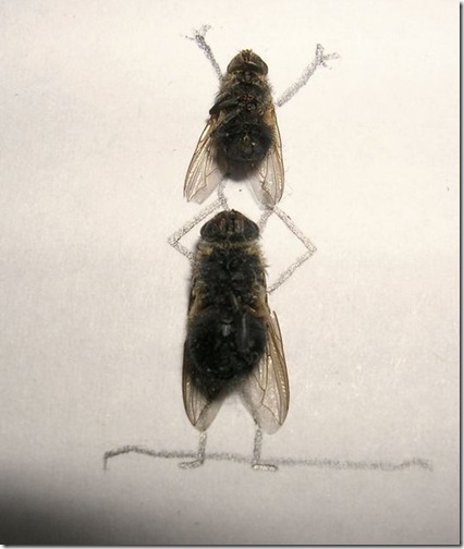 image010