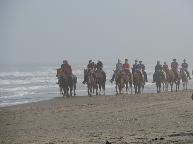 [5314 Horses on Beach South Padre Island Texas[2].jpg]