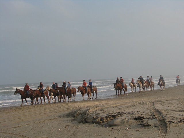 [5315 Horses on Beach South Padre Island Texas[2].jpg]