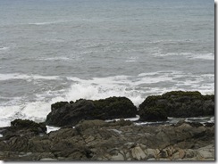 3149 Bean Hollow State Beach CA 3149 Bean Hollow State Beach CA