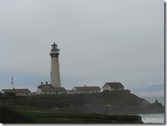 3175 Pigeon Point Lighthouse CA