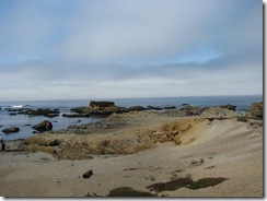 3607 Glass Beach Fort Bragg CA