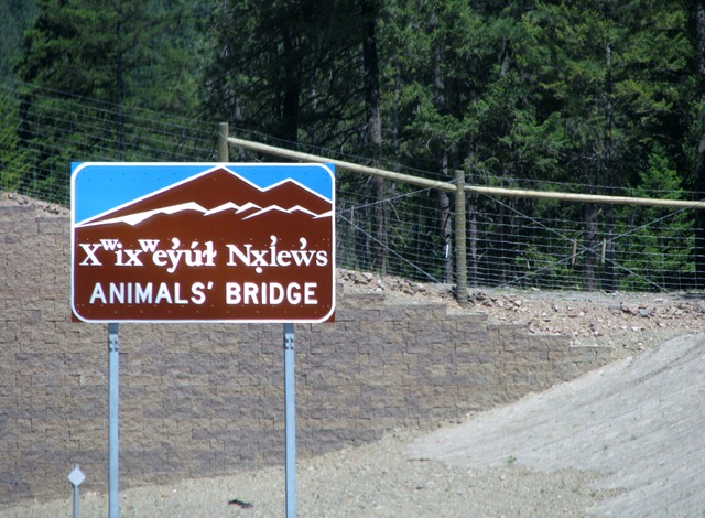 [9395 Animal Bridge on US 93 MT[2].jpg]