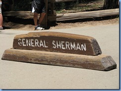 2494 Sherman Tree Sequoia National Park CA