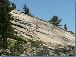 1964 Yosemite National Park CA 1964 Yosemite National Park CA