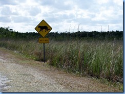 7388 Everglades National Park FL - Royal Palm Rd