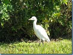 6929 near Travelodge Florida City, FL 6929 near Travelodge Florida City, FL