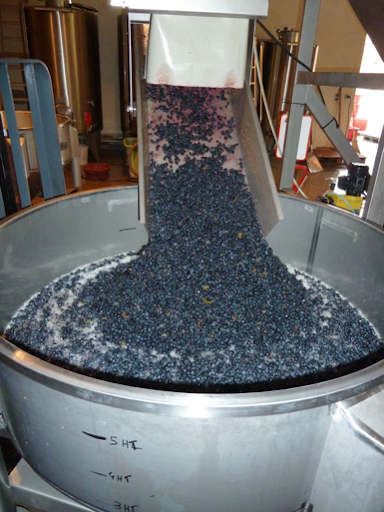 Good Grapes