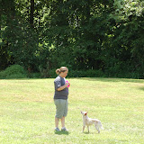 AWI/Quadruped St Louis, July 2010