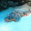 20080511-0609.jpg