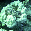 20070513-0044.jpg