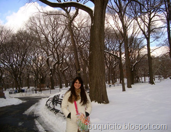 central park central park