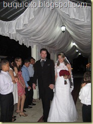 IMG_0803 IMG_0803