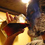 20100115 Big Woods 008.jpg