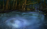 Magic World Wallpaper Wallpapers