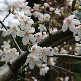 IMG_9497.JPG