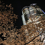 IMG_9710.JPG