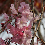 IMG_9999.JPG