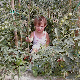 P20-07-08_12.28.jpg