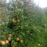 18-10-06_1616.jpg