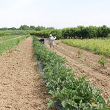 workalia e naturalia_10.jpg