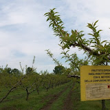 workalia e naturalia_15.jpg