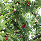 100_0029.jpg