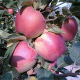 PHOT0087.JPG