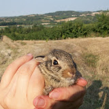 workalia e naturalia_27.jpg