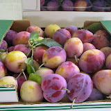 22082010682.jpg