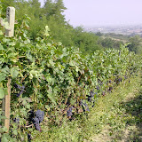 22082010680.jpg