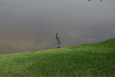 Morikami Museum and Japanese Gardens Morikami Museum and Japanese Gardens