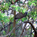 DSC_0693.JPG