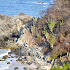 DSC_0702.JPG