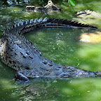 DSC_0751.JPG