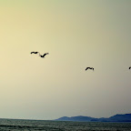 DSC_0766.JPG