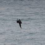 DSC_0767.JPG