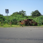 IMG_0015.JPG