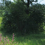 IMG_0024.JPG