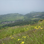 IMG_0158.JPG