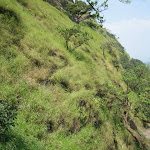 IMG_0126.JPG