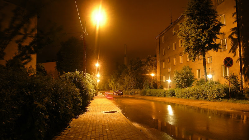 http://lh6.ggpht.com/_z3LwyfAOS40/TBQpbvxbW9I/AAAAAAAATUc/LNZL-67opBQ/s800/DSCN3793.JPG