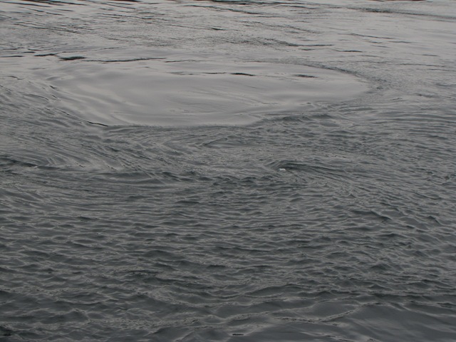 [a0194.jpg]